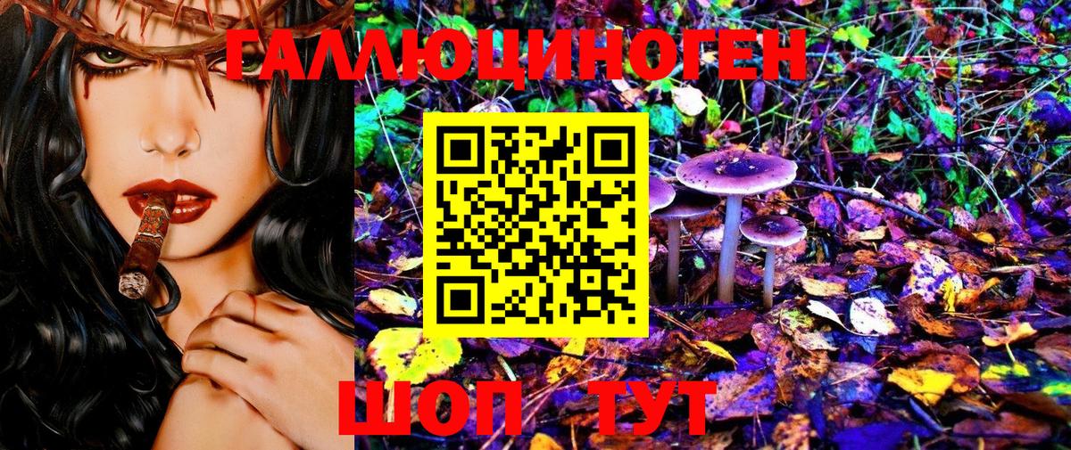 Псилоцибиновые грибы Psilocybine cubensis Касимов