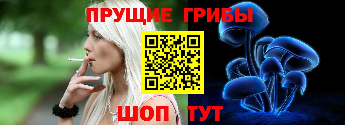 Псилоцибиновые грибы Magic Shrooms  Псилоцибиновые грибы MAGIC MUSHROOMS  Вход с VPN  Касимов 